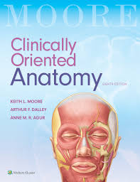 Moore’s Clinically Anatomy