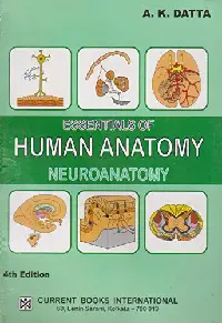 AKD Neuroanatomy