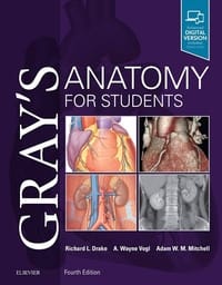 Gray's Anatomy [spdfEdu]